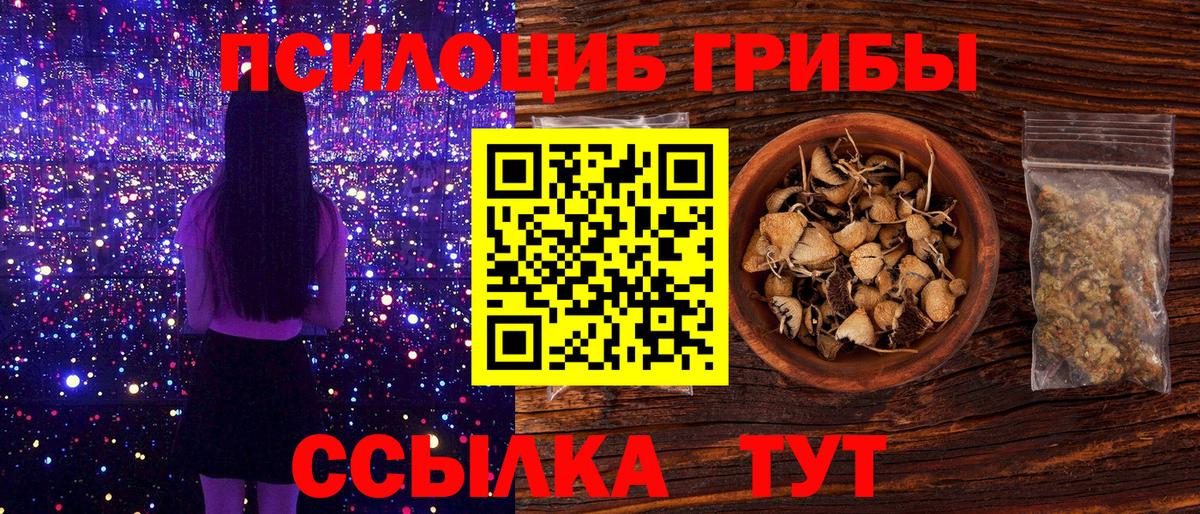 Псков  Псилоцибиновые грибы мицелий  Вход с VPN 